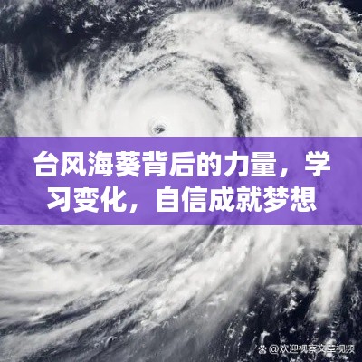 台风海葵背后的力量，学习变化，自信铸就梦想之路