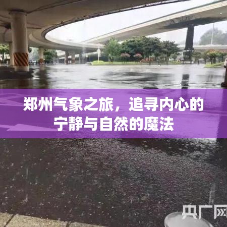 郑州气象之旅，探寻内心宁静与自然的奥秘