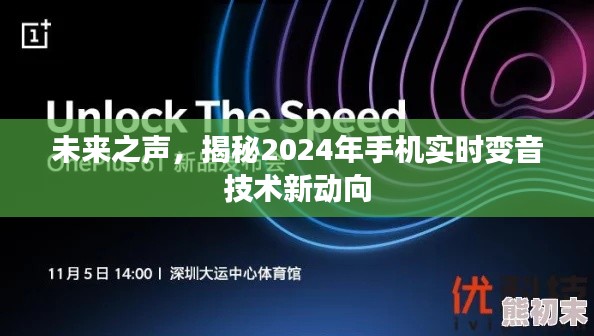 揭秘未来之声，2024年手机实时变音技术新动向展望