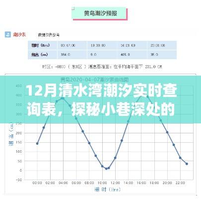 清水湾潮汐小站，探秘宝藏小巷与实时潮汐查询表