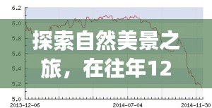 自然探索之旅，新浪汇率走势启示下的心灵平和与宁静追寻