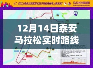 泰安马拉松赛道深度解析，赛道体验与路线特色（实时路线详解）