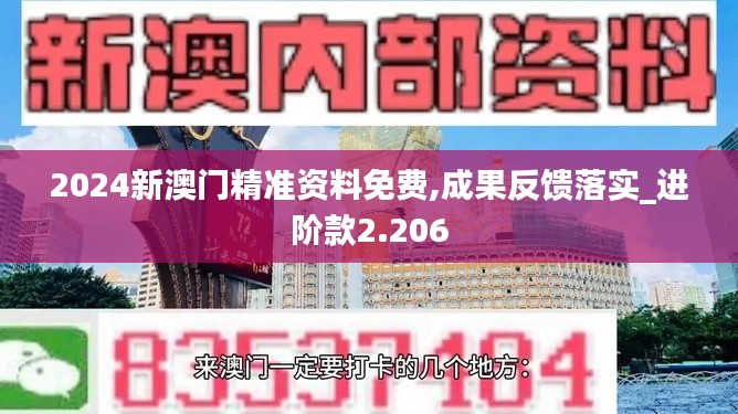 2024新澳门精准资料免费,成果反馈落实_进阶款2.206