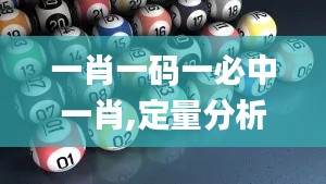 一肖一码一必中一肖,定量分析解释定义_投资版2.626