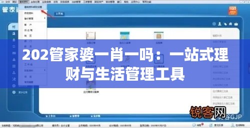 202管家婆一肖一吗：一站式理财与生活管理工具