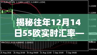 揭秘三大要点，往年12月14日55欧实时汇率深度解析