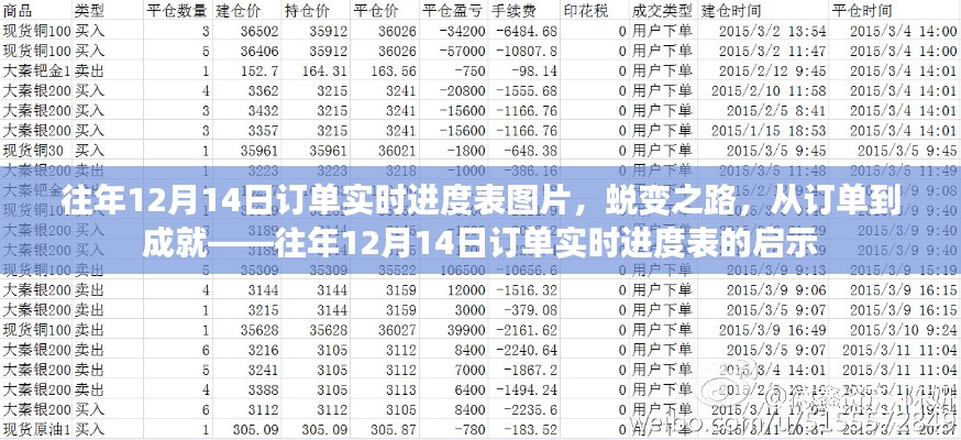 蜕变之路，往年12月14日订单实时进度表的启示与成就之路图片展示