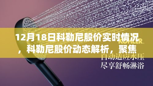 科勒尼股价动态解析，聚焦十二月十八日的股价波动与实时情况