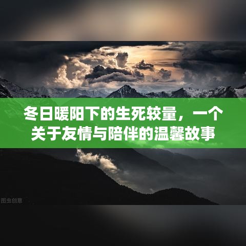 冬日暖阳下的生死考验，友情与陪伴的感人故事