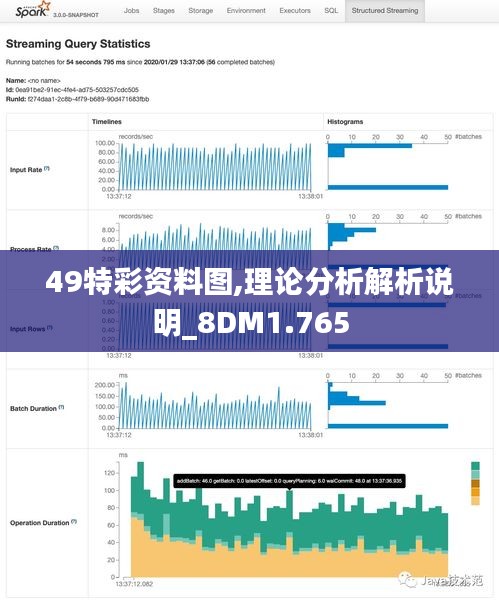 49特彩资料图,理论分析解析说明_8DM1.765