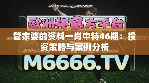 管家婆的资料一肖中特46期：投资策略与案例分析