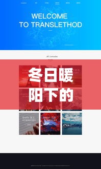 冬日暖阳下的实时翻译，Windows网页与友情的交织故事