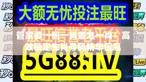 管家婆一码一肖最准一肖：高效锁定生肖号码精华信息