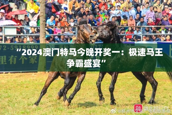 “2024澳门特马今晚开奖一：极速马王争霸盛宴”