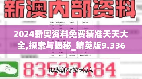 2024新奥资料免费精准天天大全,探索与揭秘_精英版9.336