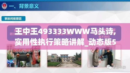 王中王493333WWW马头诗,实用性执行策略讲解_动态版5.234