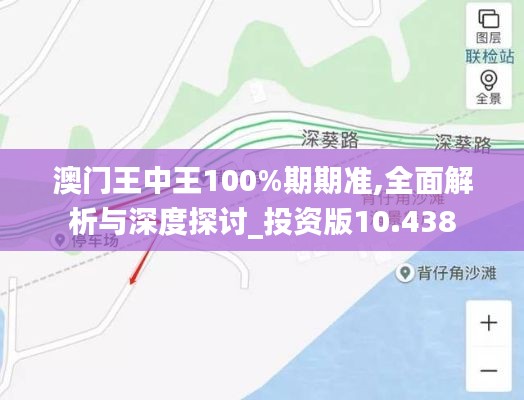 澳门王中王100%期期准,全面解析与深度探讨_投资版10.438