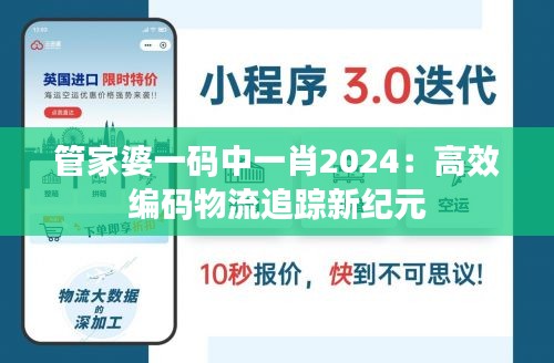 管家婆一码中一肖2024：高效编码物流追踪新纪元