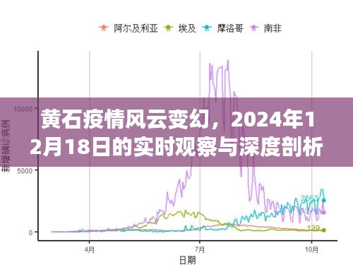 黄石疫情风云变幻，实时观察与深度剖析（2024年12月18日）