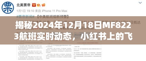 小红书独家揭秘，MF8223航班2024年12月18日实时飞行日志全记录