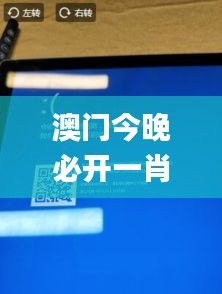 澳门今晚必开一肖一特,诠释说明解析_Surface8.931