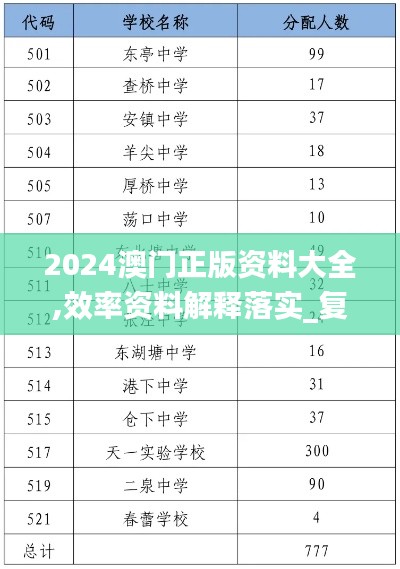 2024澳门正版资料大全,效率资料解释落实_复刻版3.777