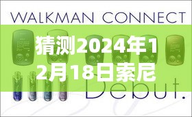 揭秘未来摄影技巧，索尼相机实时曝光功能调整指南（预测版 2024年）