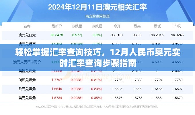 掌握汇率查询技巧，人民币与奥元实时汇率查询指南（12月版）