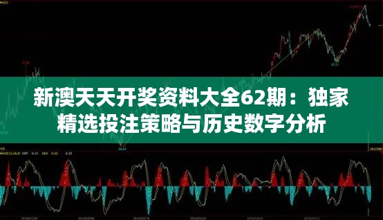 新澳天天开奖资料大全62期：独家精选投注策略与历史数字分析