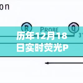 历年12月18日实时荧光PCR技术应用深度解析研讨会