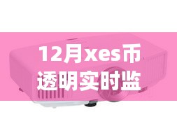 科技领航，12月XE币实时监控器——掌控数字资产的透明视界