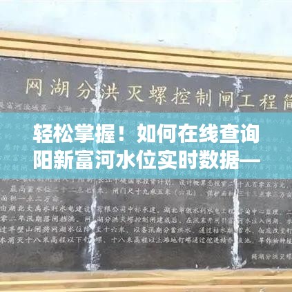 轻松掌握在线查询阳新富河水位实时数据的方法——初学者与进阶指南