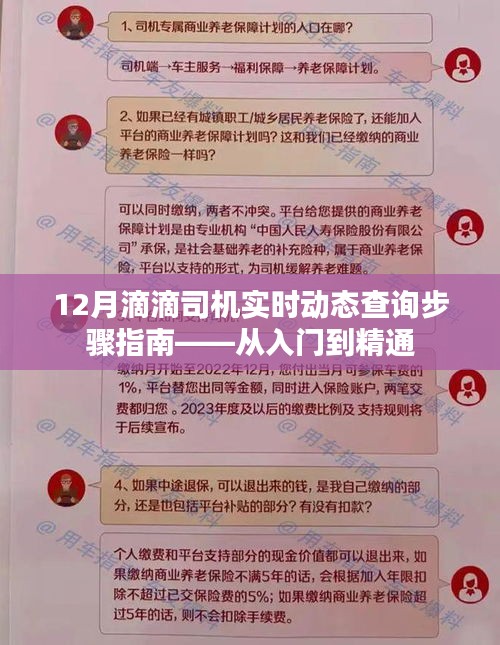 12月滴滴司机实时动态查询全攻略，入门到精通指南