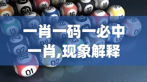 一肖一码一必中一肖,现象解释管理_bundle7.666