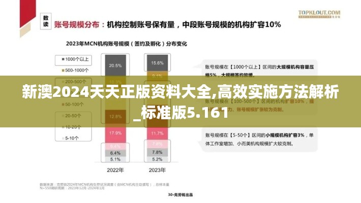 新澳2024天天正版资料大全,高效实施方法解析_标准版5.161