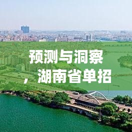 湖南省单招人数实时统计预测与洞察，展望至2024年12月