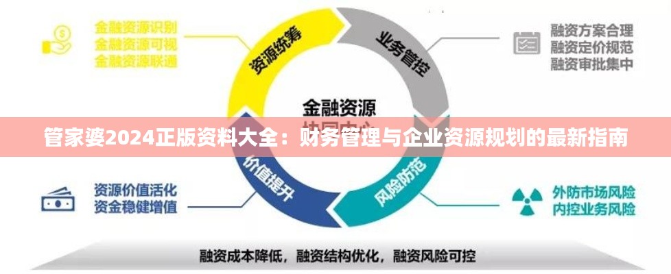 管家婆2024正版资料大全：财务管理与企业资源规划的最新指南