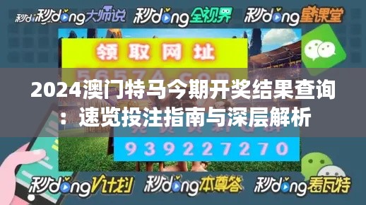 2024澳门特马今期开奖结果查询：速览投注指南与深层解析