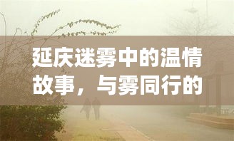 延庆迷雾中的温情与欢乐时光