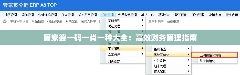 管家婆一码一肖一种大全：高效财务管理指南