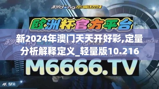 新2024年澳门天天开好彩,定量分析解释定义_轻量版10.216