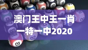 澳门王中王一肖一特一中2020,综合分析解释定义_网页版9.817