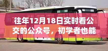 往年12月18日实时公交动态全掌握，初学者指南与全步骤查看动态攻略