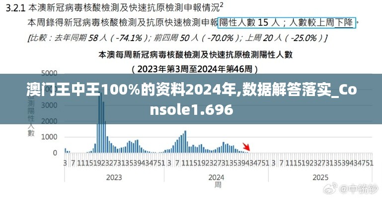 澳门王中王100%的资料2024年,数据解答落实_Console1.696