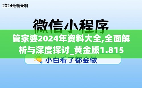 管家婆2024年资料大全,全面解析与深度探讨_黄金版1.815