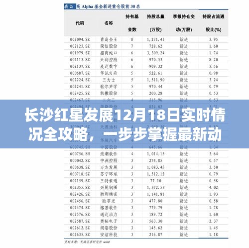 长沙红星发展最新动态全攻略，12月18日实时更新，掌握最新发展步伐