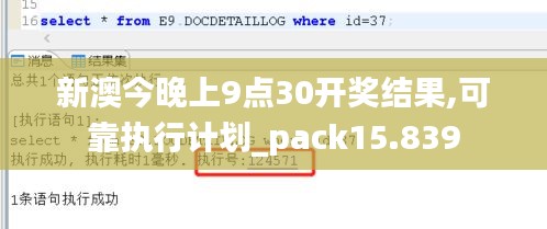 新澳今晚上9点30开奖结果,可靠执行计划_pack15.839