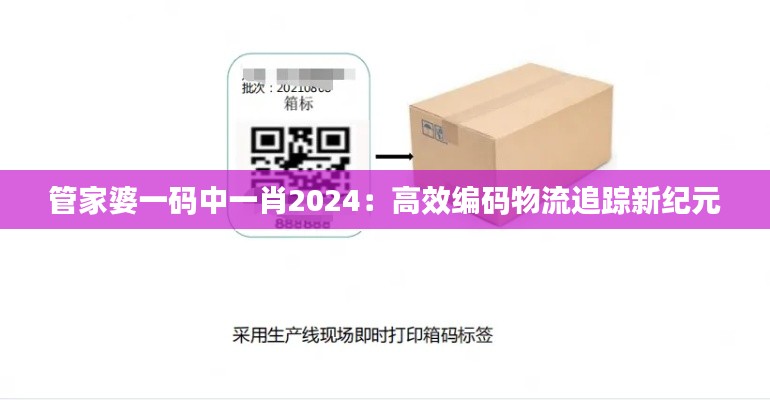 管家婆一码中一肖2024：高效编码物流追踪新纪元