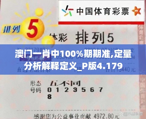 澳门一肖中100%期期准,定量分析解释定义_P版4.179