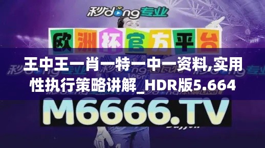 王中王一肖一特一中一资料,实用性执行策略讲解_HDR版5.664